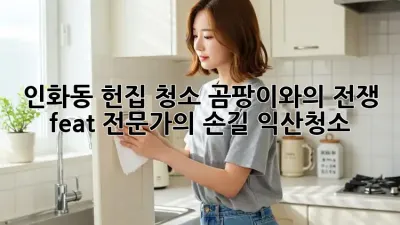 🏠 인화동 헌집 청소, 곰팡이와의 전쟁! (feat. 전문가의 손길) #익산청소