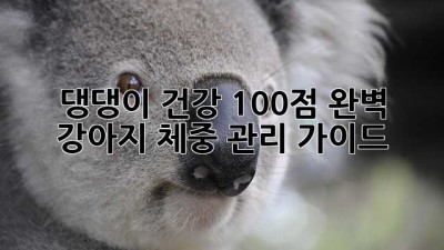 댕댕이 건강 100점! 완벽 강아지 체중 관리 가이드🐶